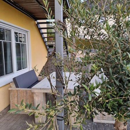Haus Elke Appartement Blankenrath Buitenkant foto
